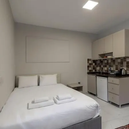 Cozy & Comfy Studio At Beyoglu - 62 公寓 伊斯坦布尔